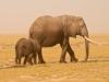 Elephant March